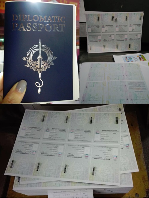 Novelty Passport Books