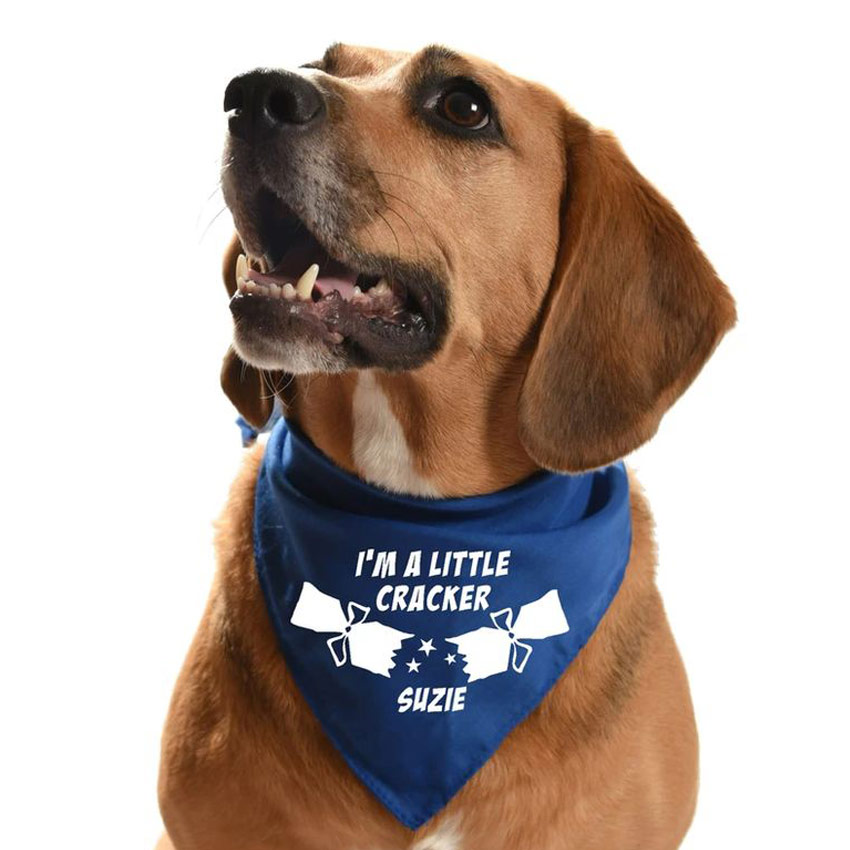 Personalized Bandanas for Dogs